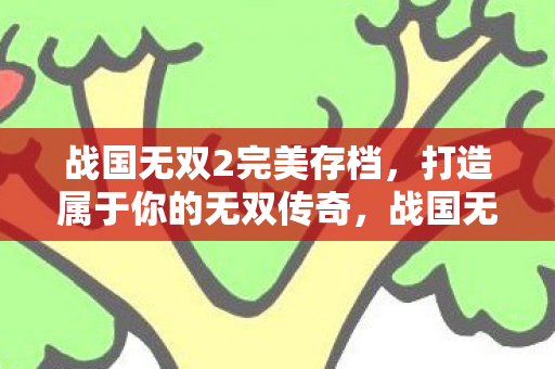 战国无双2完美存档,打造属于你的无双传奇,战国无双2,打造专属传奇,解锁完美存档 战国无双2完美存档,打造属于你的无双传奇,战国无双2,打造专属传奇,解锁完美存档