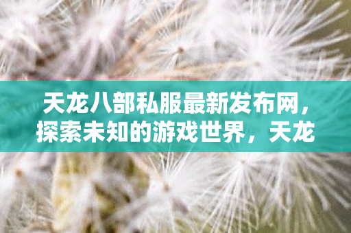 天龙八部私服最新发布网,探索未知的游戏世界,天龙八部私服最新发布,探索未知游戏世界 天龙八部私服最新发布网,探索未知的游戏世界,天龙八部私服最新发布,探索未知游戏世界
