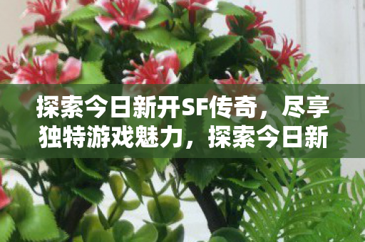 探索今日新开SF传奇图片
