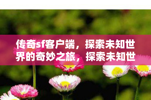 探索未知世界的奇妙之旅图片