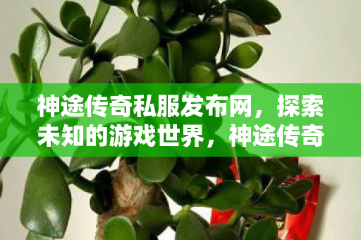 探索未知游戏世界的奇妙之旅图片