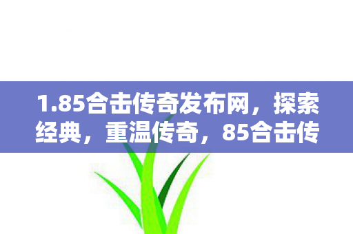 85合击传奇发布网图片