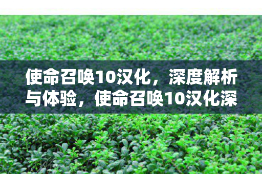 使命召唤10汉化，深度解析与体验，使命召唤10汉化深度解析，游戏文化、语言与体验
