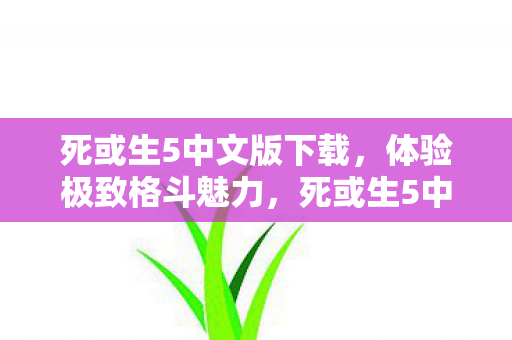 死或生5中文版下载,体验极致格斗魅力,死或生5中文版下载,感受极致格斗魅力 死或生5中文版下载,体验极致格斗魅力,死或生5中文版下载,感受极致格斗魅力