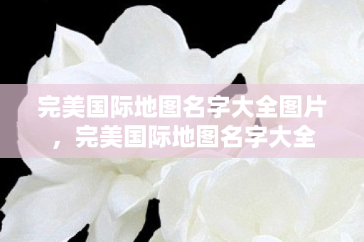 完美国际地图名字大全图片图片