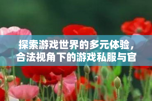 合法视角下的游戏私服与官方服务对比图片