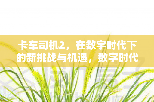 卡车司机2，在数字时代下的新挑战与机遇，数字时代下的卡车司机2，新挑战与机遇