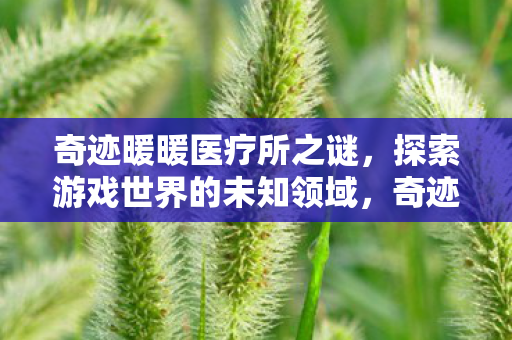 奇迹暖暖医疗所之谜,探索游戏世界的未知领域,奇迹暖暖医疗所之谜,探索游戏世界的未知领域 奇迹暖暖医疗所之谜,探索游戏世界的未知领域,奇迹暖暖医疗所之谜,探索游戏世界的未知领域