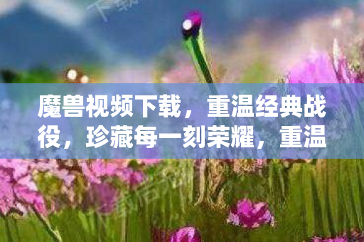 魔兽视频下载,重温经典战役,珍藏每一刻荣耀,重温经典魔兽战役,下载珍藏版视频 魔兽视频下载,重温经典战役,珍藏每一刻荣耀,重温经典魔兽战役,下载珍藏版视频