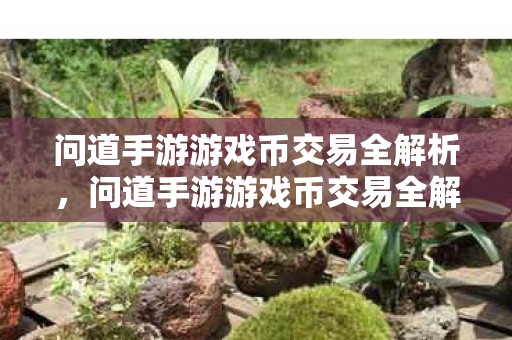 问道手游游戏币交易全解析,问道手游游戏币交易全解析,从入门到精通 问道手游游戏币交易全解析,问道手游游戏币交易全解析,从入门到精通
