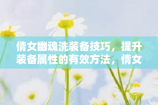 倩女幽魂洗装备技巧,提升装备属性的有效方法,倩女幽魂洗装备技巧,提升装备属性的有效方法 倩女幽魂洗装备技巧,提升装备属性的有效方法,倩女幽魂洗装备技巧,提升装备属性的有效方法