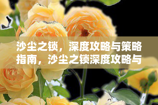 沙尘之锁,深度攻略与策略指南,沙尘之锁深度攻略与策略指南,解锁游戏精髓,助你轻松通关 沙尘之锁,深度攻略与策略指南,沙尘之锁深度攻略与策略指南,解锁游戏精髓,助你轻松通关