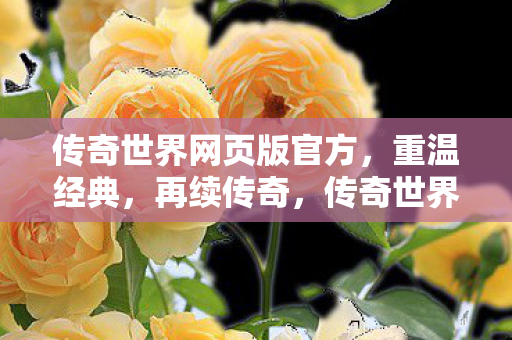 传奇世界网页版官方图片