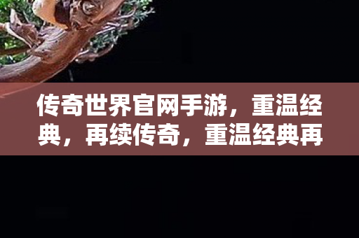 传奇世界官网手游图片