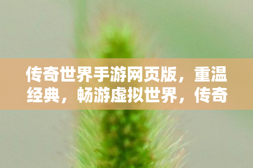 传奇世界手游网页版,重温经典,畅游虚拟世界,传奇世界手游网页版,重温经典,畅游虚拟世界 传奇世界手游网页版,重温经典,畅游虚拟世界,传奇世界手游网页版,重温经典,畅游虚拟世界