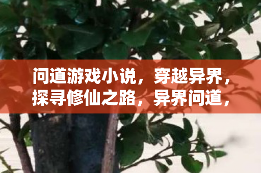 问道游戏小说，穿越异界，探寻修仙之路，异界问道，穿越之旅的修仙之路