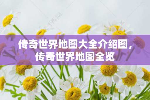 传奇世界地图大全介绍图,传奇世界地图全览 传奇世界地图大全介绍图,传奇世界地图全览