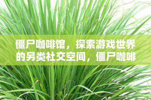 僵尸咖啡馆,探索游戏世界的另类社交空间,僵尸咖啡馆,探索游戏世界的另类社交空间 僵尸咖啡馆,探索游戏世界的另类社交空间,僵尸咖啡馆,探索游戏世界的另类社交空间
