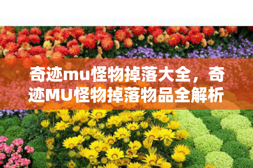 奇迹mu怪物掉落大全,奇迹MU怪物掉落物品全解析 奇迹mu怪物掉落大全,奇迹MU怪物掉落物品全解析