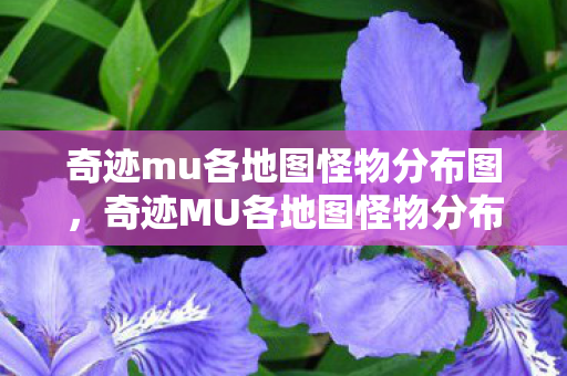 奇迹mu各地图怪物分布图，奇迹MU各地图怪物分布指南