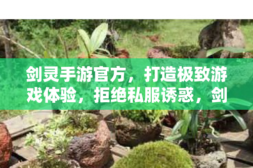 打造极致游戏体验图片