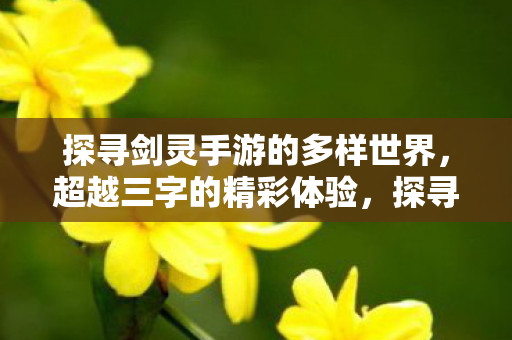 超越三字的多样世界与精彩体验图片
