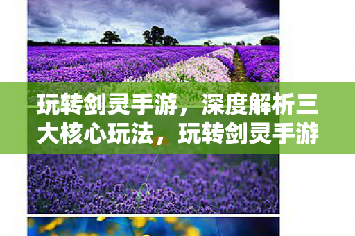 深度解析三大核心玩法图片