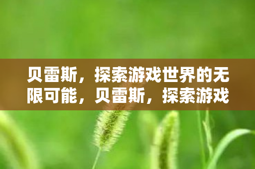 贝雷斯,探索游戏世界的无限可能,贝雷斯,探索游戏世界的无限可能 贝雷斯,探索游戏世界的无限可能,贝雷斯,探索游戏世界的无限可能