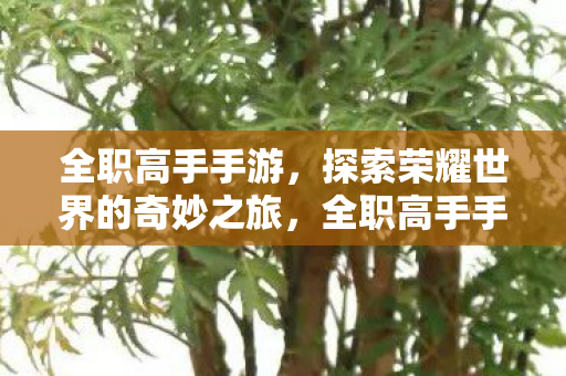 全职高手手游,探索荣耀世界的奇妙之旅,全职高手手游,探索荣耀世界的奇妙之旅 全职高手手游,探索荣耀世界的奇妙之旅,全职高手手游,探索荣耀世界的奇妙之旅