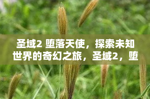 圣域2 堕落天使,探索未知世界的奇幻之旅,圣域2,堕落天使开启未知世界的奇幻冒险之旅 圣域2 堕落天使,探索未知世界的奇幻之旅,圣域2,堕落天使开启未知世界的奇幻冒险之旅