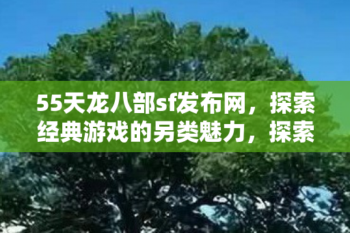 55天龙八部sf发布网,探索经典游戏的另类魅力,探索天龙八部SF发布网,经典游戏的另类魅力 55天龙八部sf发布网,探索经典游戏的另类魅力,探索天龙八部SF发布网,经典游戏的另类魅力