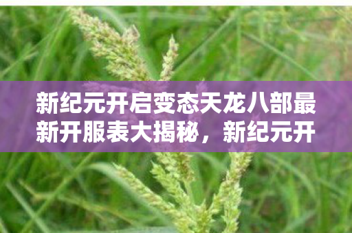 新纪元开启变态天龙八部最新开服表大揭秘,新纪元开启,变态天龙八部最新开服表大揭秘 新纪元开启变态天龙八部最新开服表大揭秘,新纪元开启,变态天龙八部最新开服表大揭秘