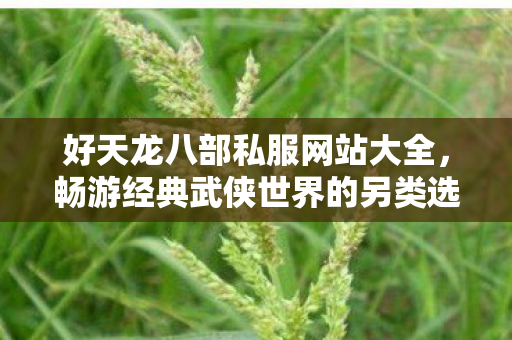 好天龙八部私服网站大全,畅游经典武侠世界的另类选择,好天龙八部私服网站大全,畅游经典武侠世界的另类选择 好天龙八部私服网站大全,畅游经典武侠世界的另类选择,好天龙八部私服网站大全,畅游经典武侠世界的另类选择