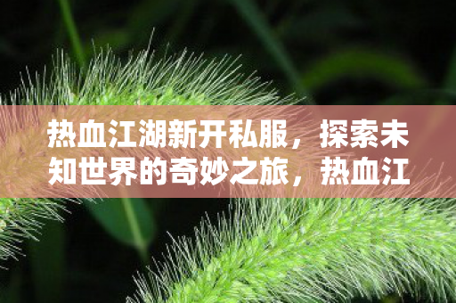 探索未知世界的奇妙之旅图片