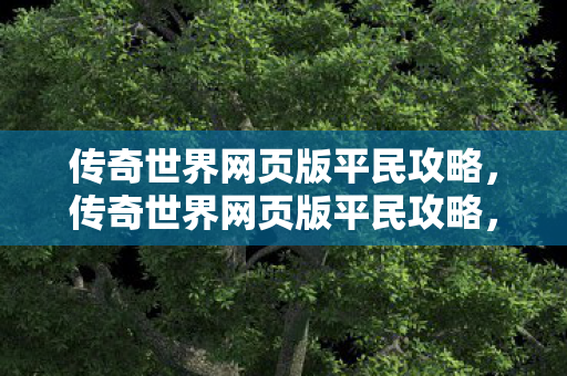 传奇世界网页版平民攻略图片