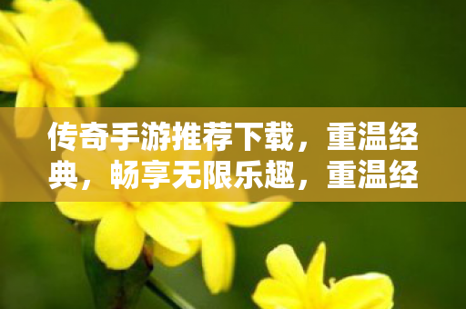 传奇手游推荐下载,重温经典,畅享无限乐趣,重温经典,畅享无限乐趣,推荐下载传奇手游 传奇手游推荐下载,重温经典,畅享无限乐趣,重温经典,畅享无限乐趣,推荐下载传奇手游