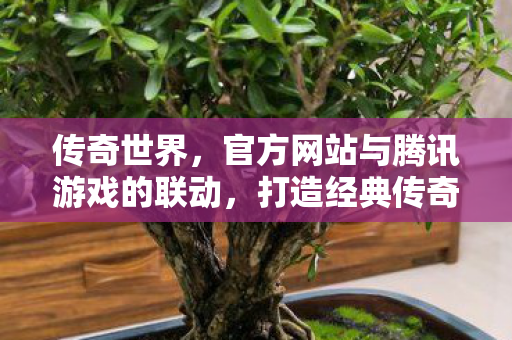 腾讯联动传奇世界官网 打造经典传奇体验图片