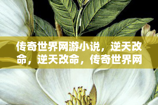 传奇世界网游小说图片
