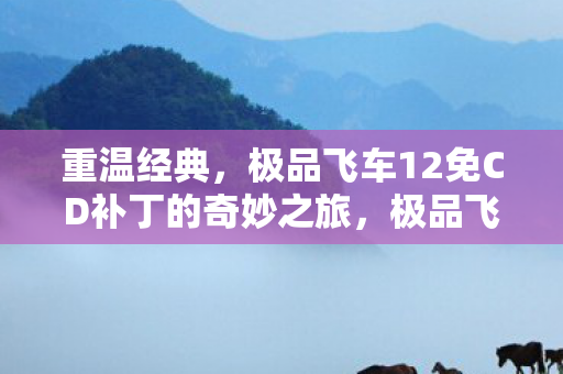 重温经典,极品飞车12免CD补丁的奇妙之旅,极品飞车12免CD补丁,重温经典,开启奇妙之旅 重温经典,极品飞车12免CD补丁的奇妙之旅,极品飞车12免CD补丁,重温经典,开启奇妙之旅