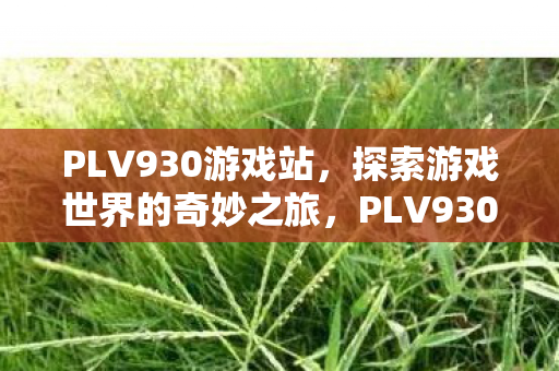 探索游戏世界的奇妙之旅图片