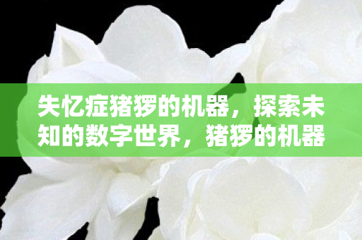 失忆症猪猡的机器,探索未知的数字世界,猪猡的机器,探索数字世界的奥秘 失忆症猪猡的机器,探索未知的数字世界,猪猡的机器,探索数字世界的奥秘