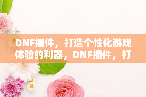 DNF插件,打造个性化游戏体验的利器,DNF插件,打造个性化游戏体验的利器 DNF插件,打造个性化游戏体验的利器,DNF插件,打造个性化游戏体验的利器