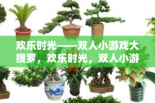 欢乐时光——双人小游戏大搜罗,欢乐时光,双人小游戏大搜罗 欢乐时光——双人小游戏大搜罗,欢乐时光,双人小游戏大搜罗