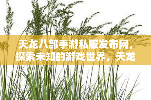 天龙八部手游私服发布网,探索未知的游戏世界,天龙八部手游私服发布网,探索未知游戏世界,开启冒险之旅! 天龙八部手游私服发布网,探索未知的游戏世界,天龙八部手游私服发布网,探索未知游戏世界,开启冒险之旅!