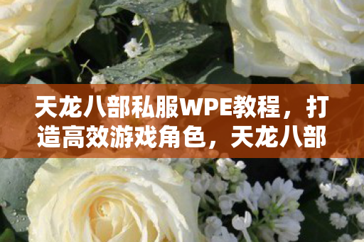 天龙八部私服WPE教程,打造高效游戏角色,天龙八部私服WPE教程,打造高效游戏角色 天龙八部私服WPE教程,打造高效游戏角色,天龙八部私服WPE教程,打造高效游戏角色