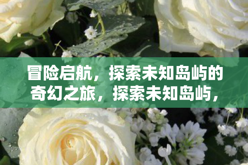 冒险启航，探索未知岛屿的奇幻之旅，探索未知岛屿，奇幻冒险之旅开启