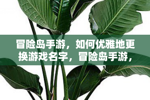冒险岛手游,如何优雅地更换游戏名字,冒险岛手游,优雅更换游戏名字的方法 冒险岛手游,如何优雅地更换游戏名字,冒险岛手游,优雅更换游戏名字的方法