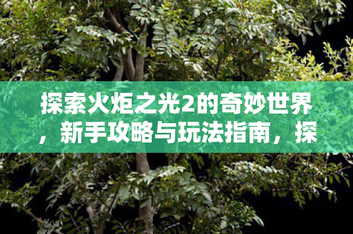 探索火炬之光2的奇妙世界，新手攻略与玩法指南，探索火炬之光2奇妙世界，新手攻略与玩法指南全解析