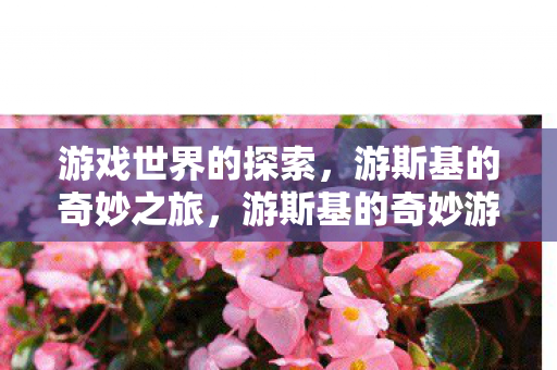 游戏世界的探索,游斯基的奇妙之旅,游斯基的奇妙游戏世界探索之旅 游戏世界的探索,游斯基的奇妙之旅,游斯基的奇妙游戏世界探索之旅