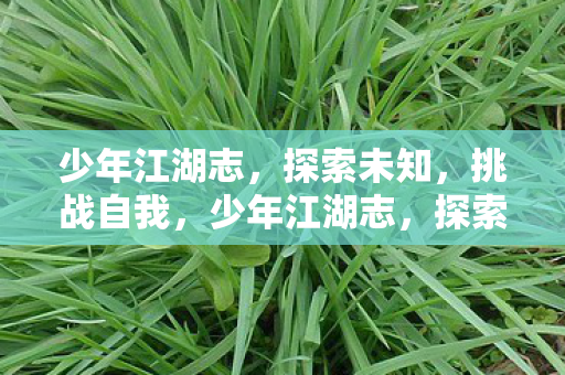 少年江湖志,探索未知,挑战自我,少年江湖志,探索未知,挑战自我 少年江湖志,探索未知,挑战自我,少年江湖志,探索未知,挑战自我